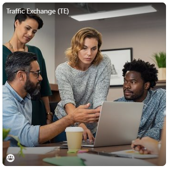 Traffic Exchange Group